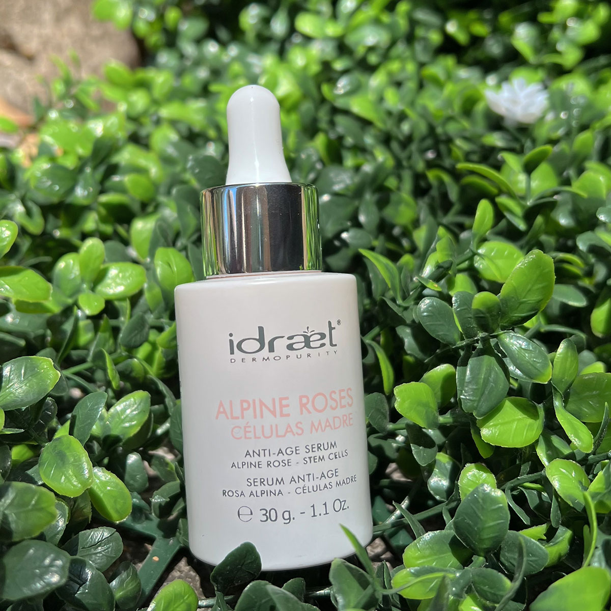 editada-168397DF-875C-4289-B1DC-C5E06C729FD5