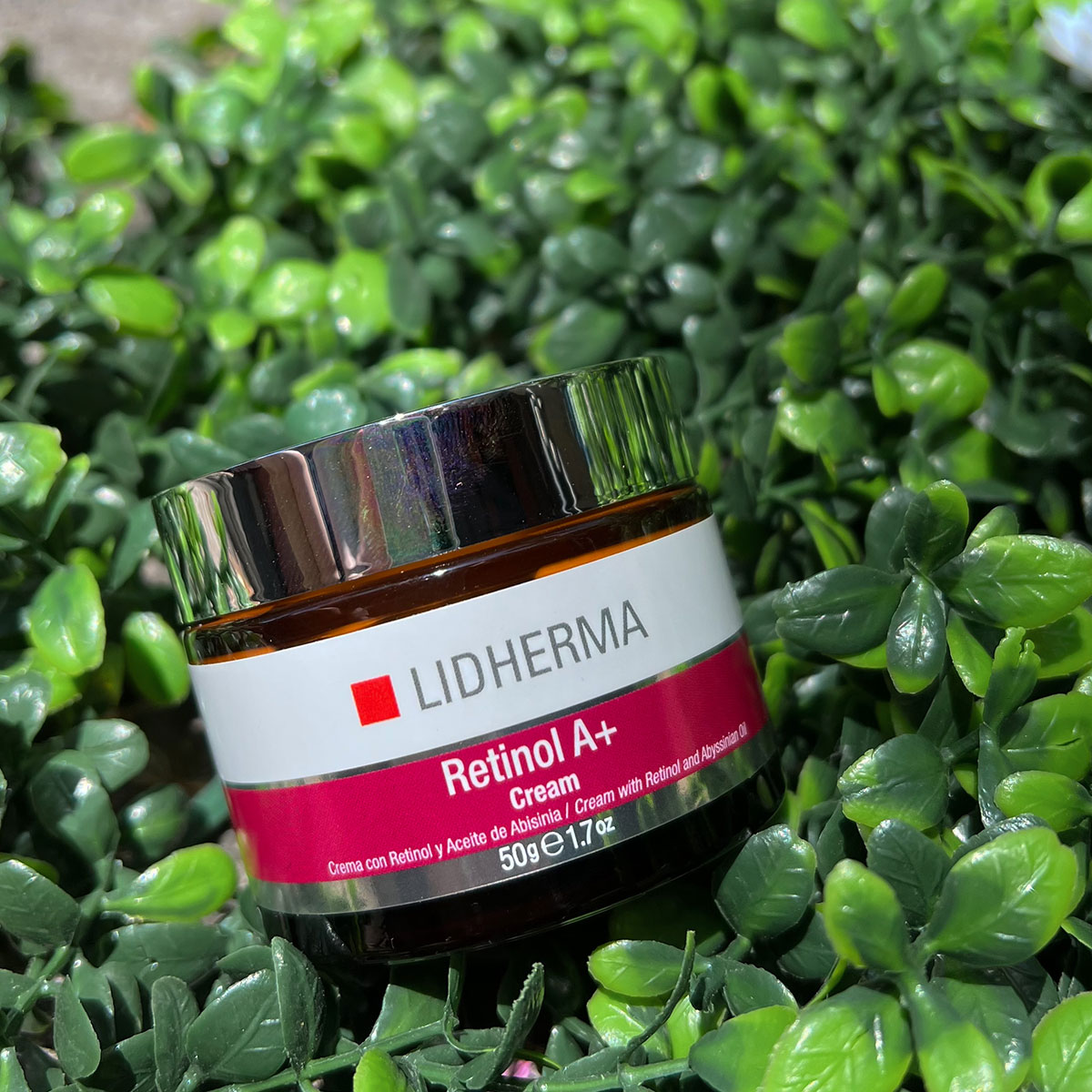 editada-7163DBCE-7AE6-43E7-B48A-E8F3A1413860