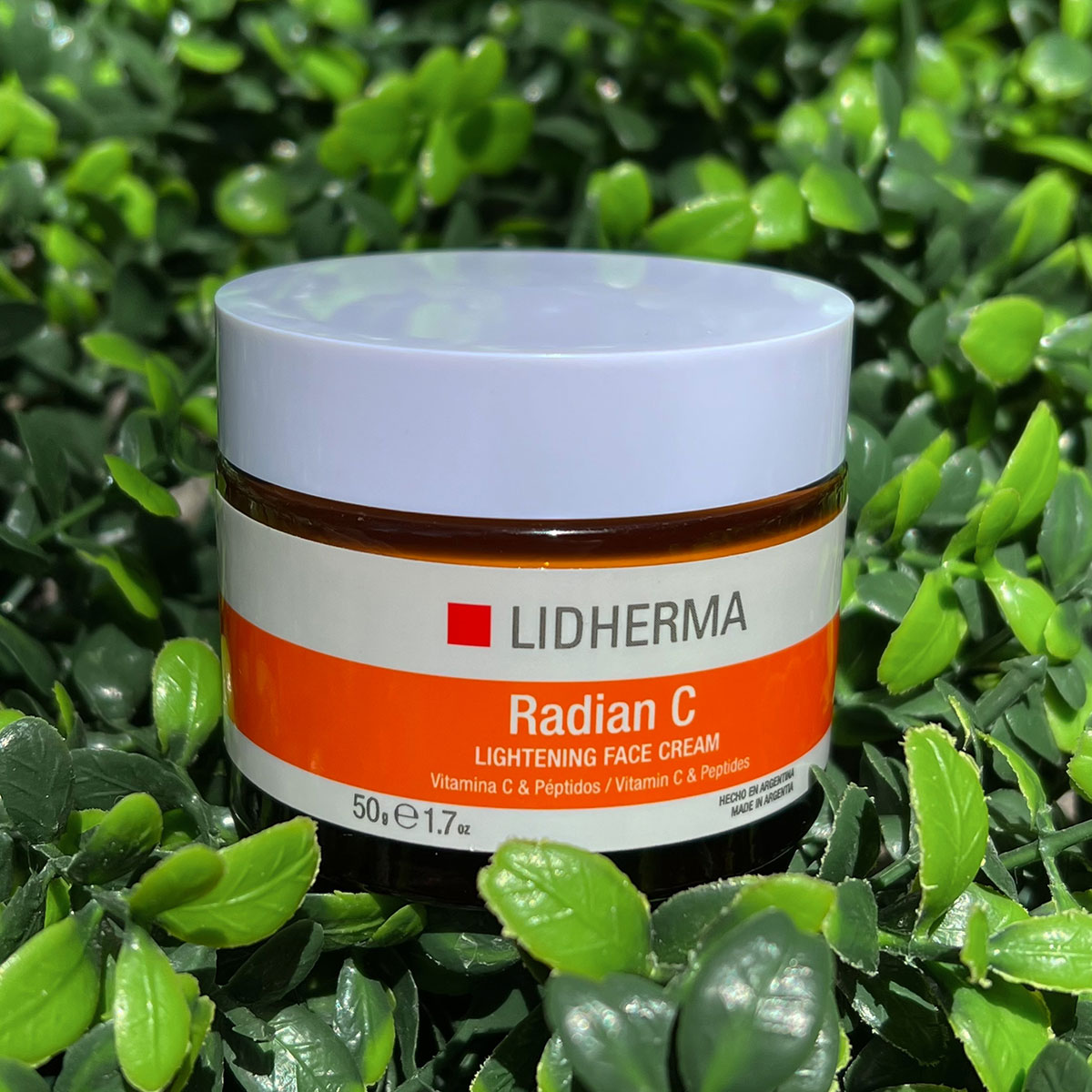 editada-7C76D8DD-DF02-4C21-8B04-D859B6180459