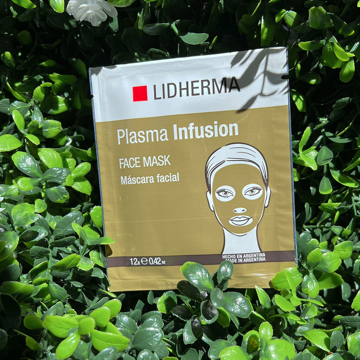 editada-85336C8E-9D45-440E-850C-C95EEF4A88AD