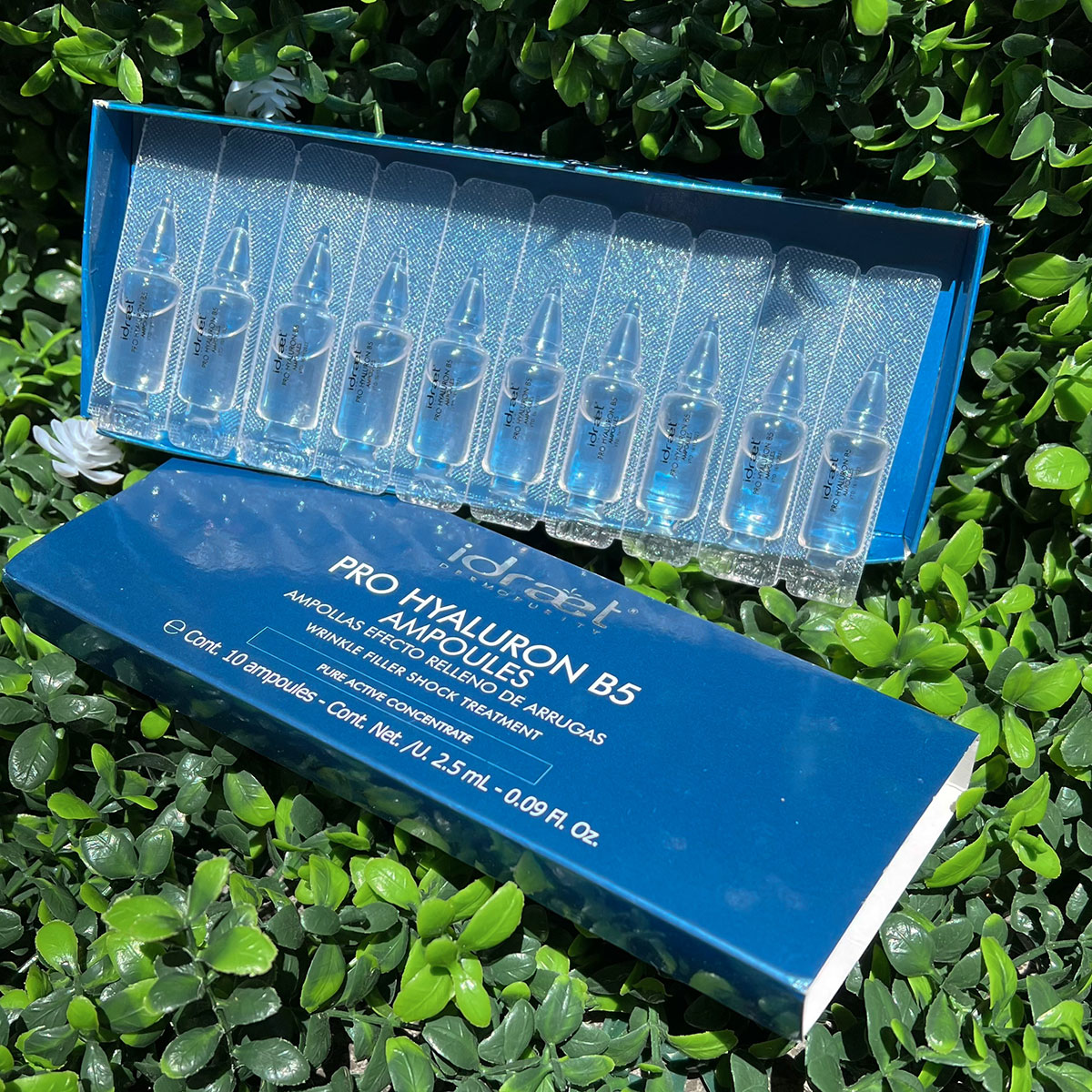 editada-97A22A5A-902F-4EB0-B66C-CDCD318D2F63