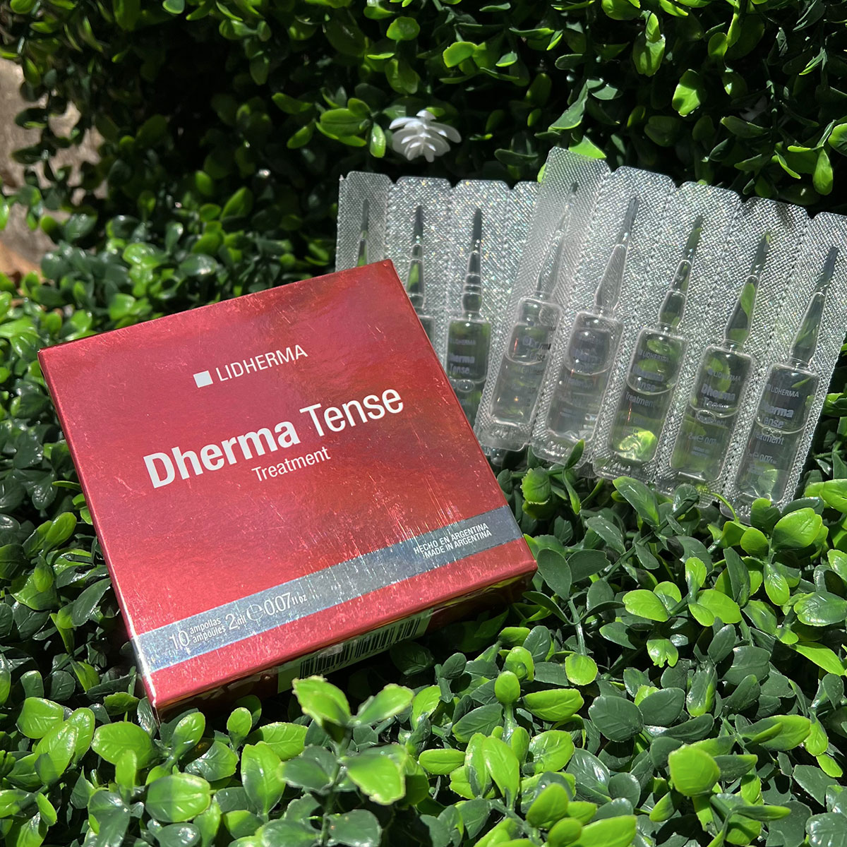 editada-C23B6E36-723D-4A64-9373-6584D471B2A6