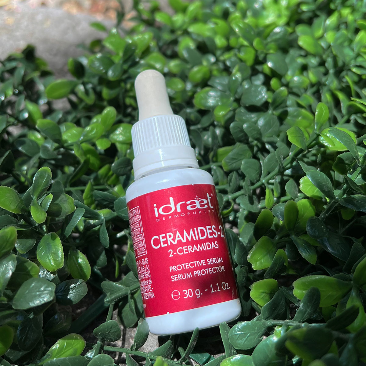 editada-F198C821-79CD-43E4-A4F9-7F0121854D5A