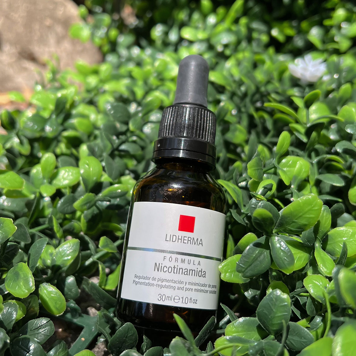 editada-FFC0DA35-C445-4878-983C-665F25E9DF2D