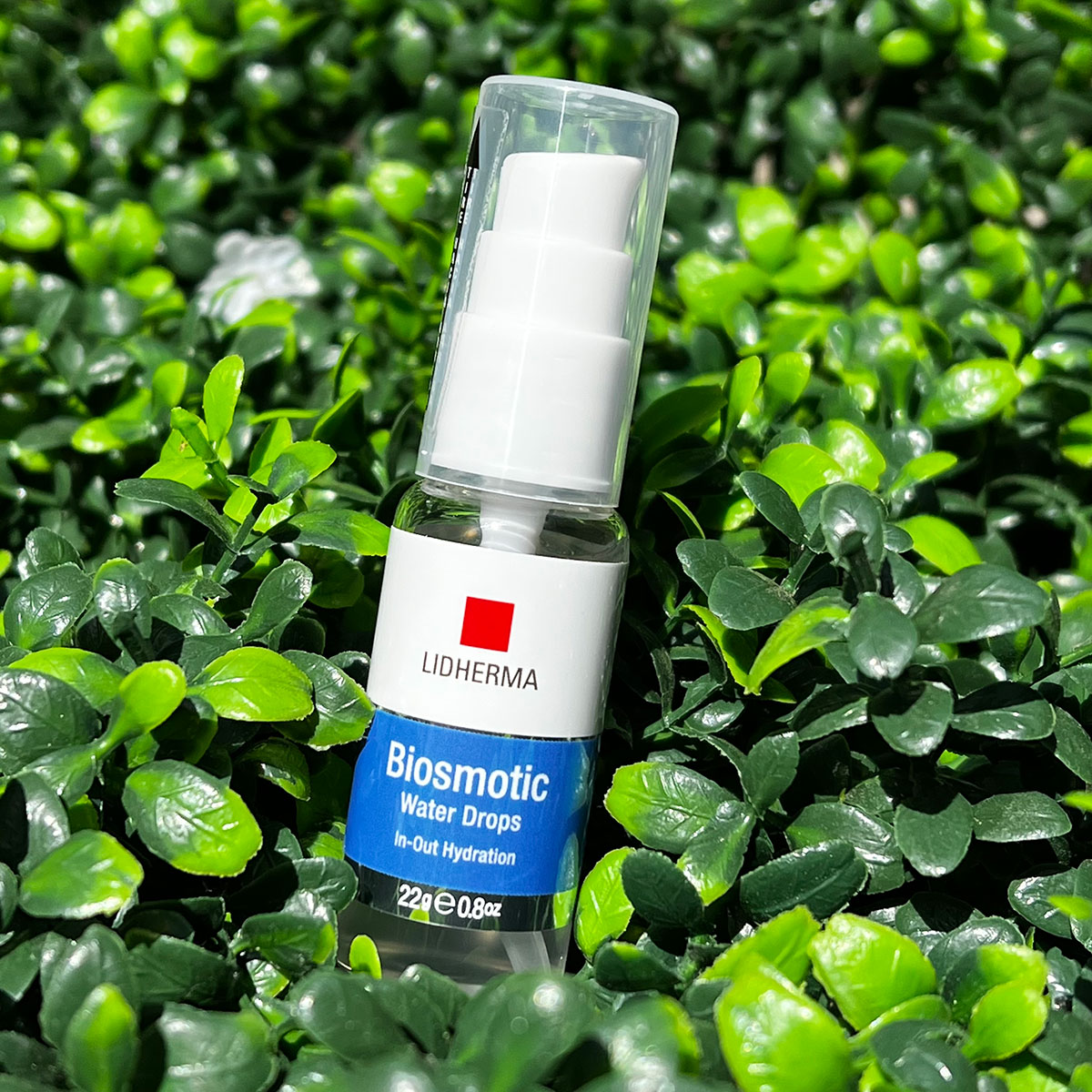 2137D4E4-8DE7-4568-811C-C8C42B9730F2