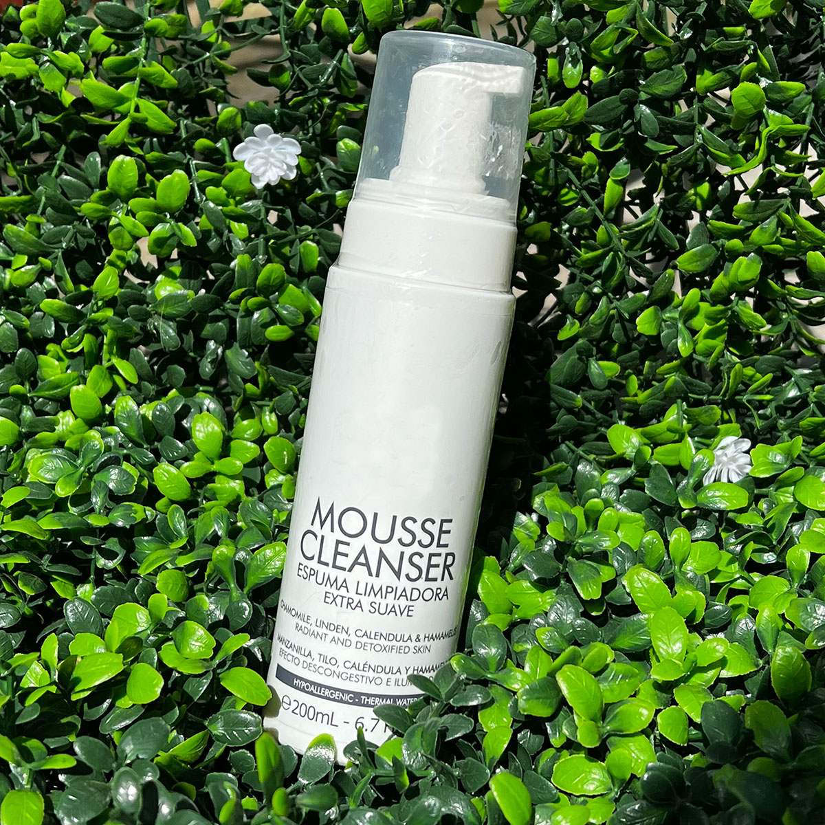 2C4BDBA4-1387-4F2F-9834-BFAD416E6551