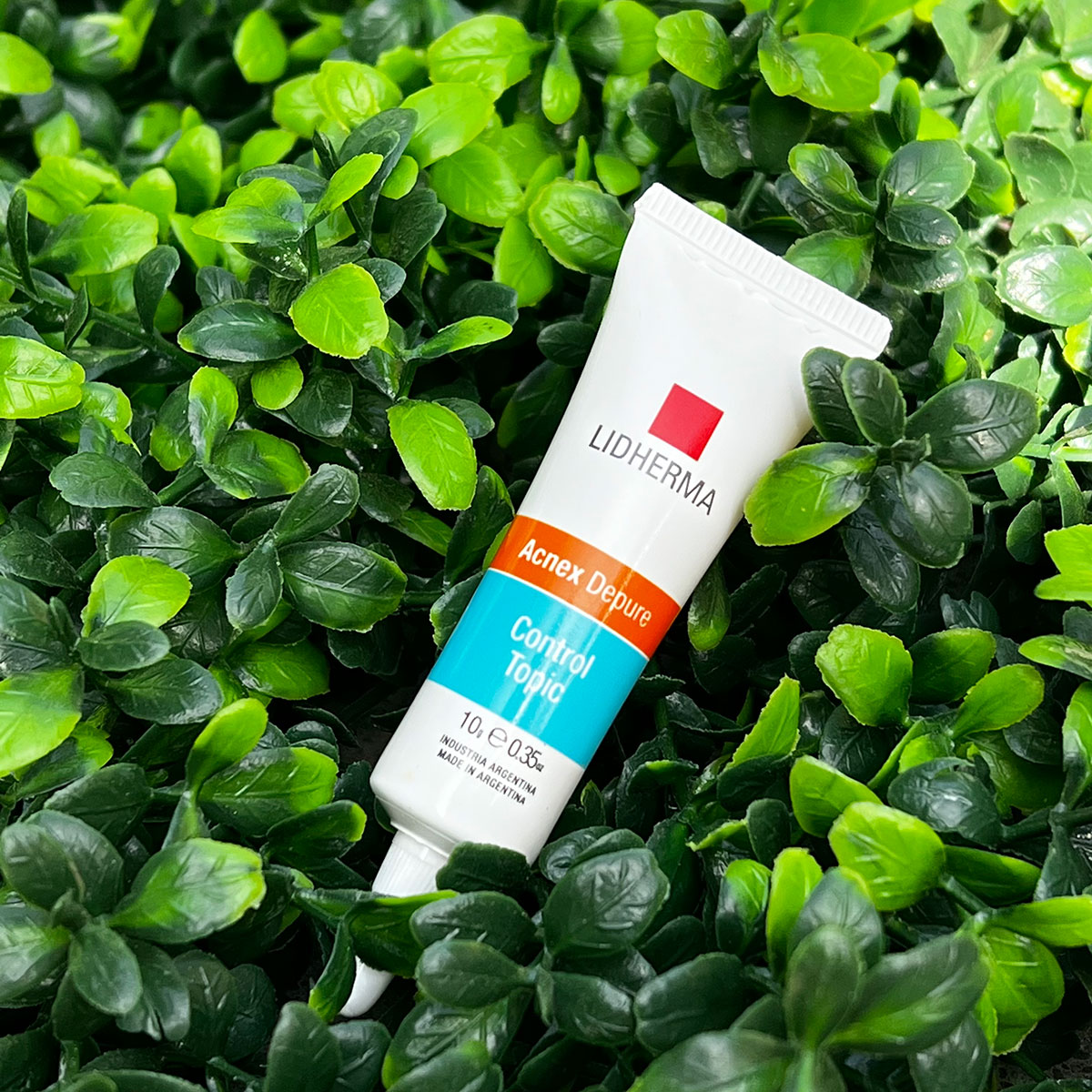 5311B70A-7BE6-4DD2-A419-609AAD46B6B2