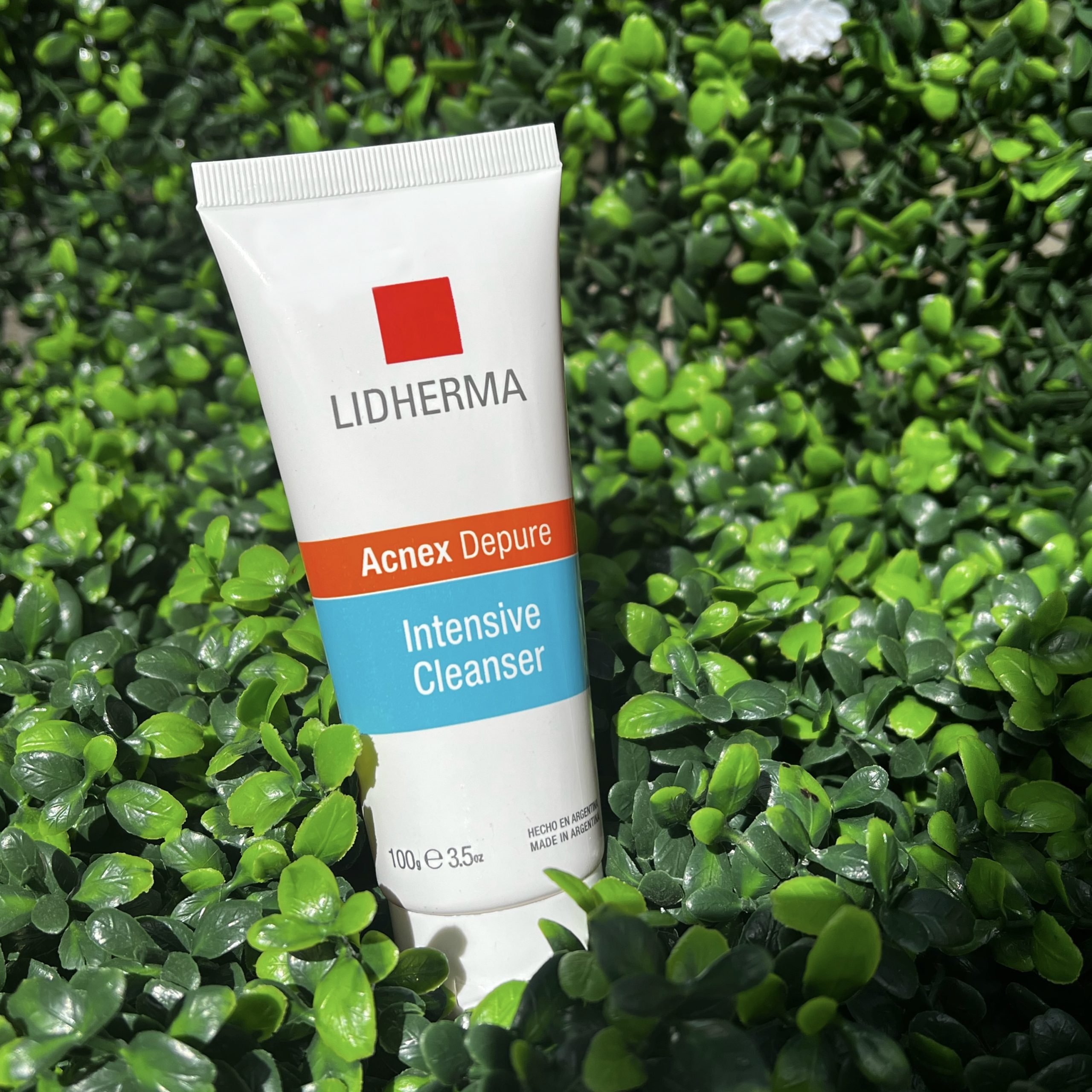 95ED0825-58A2-4AB2-A098-0080EE22D9B5