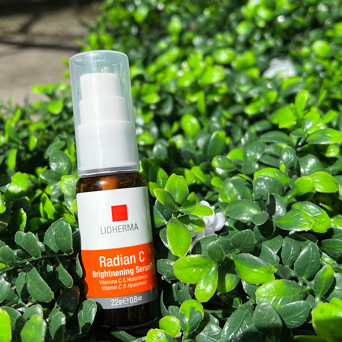 A64855DE-5367-4706-B4EB-943481B9D52C