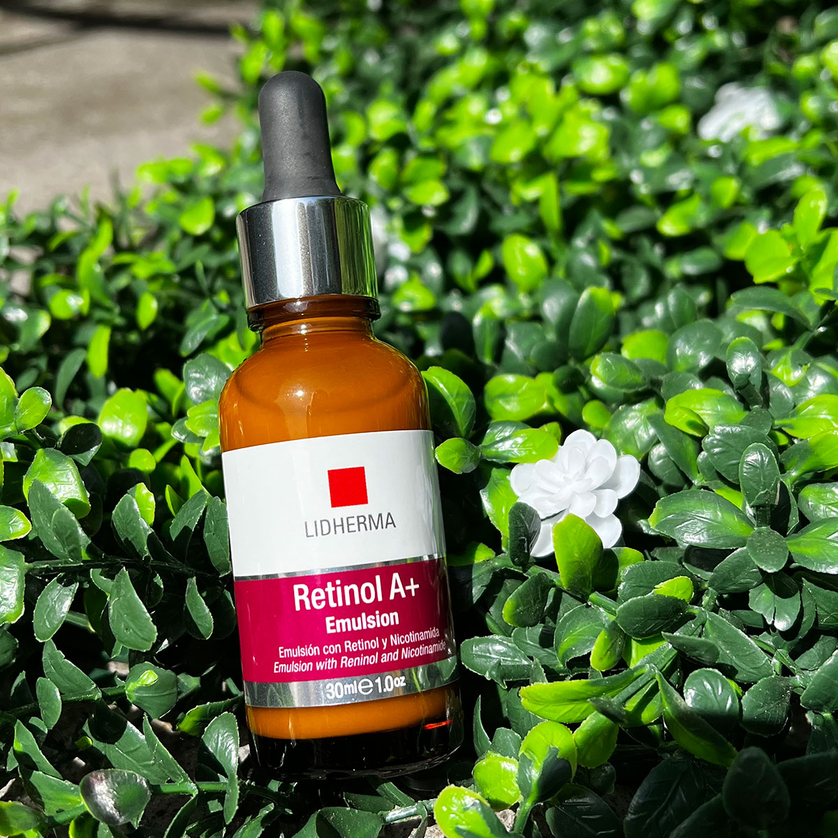 B48F9E79-3B34-4EE3-B057-6EBEC87AAA73