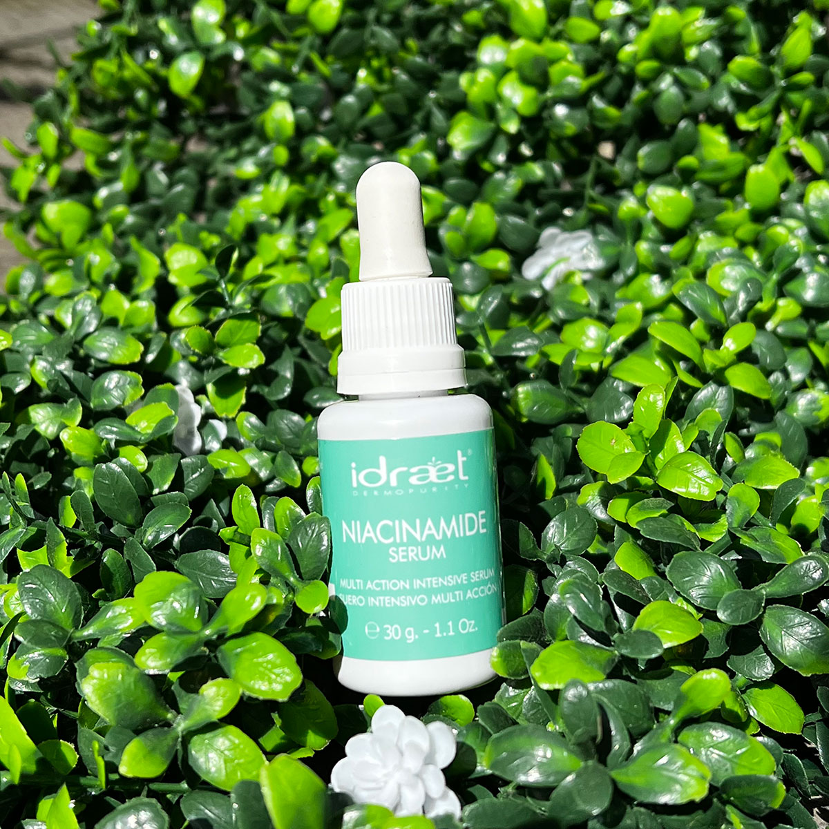 E6F3593B-DBEB-4D93-9954-75DDBF8B9532